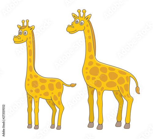 Set of Giraffes. isolated on white background