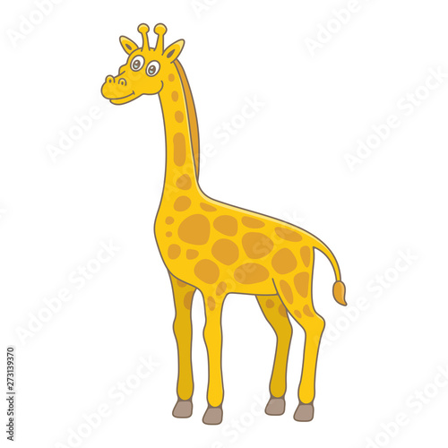 Giraffe. isolated on white background