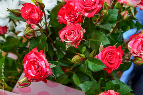 Beautiful fresh pink spray roses in a bouquet lie on a bench close-up