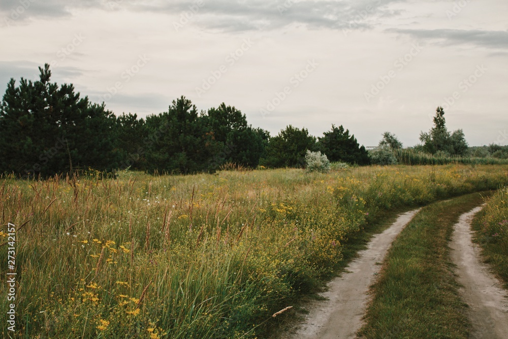 Obraz premium road in the field