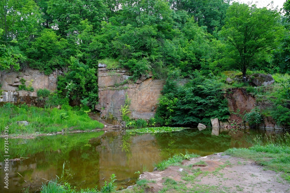Magical forest in the morning sunlight rays. Summer landscape, river in the forest.