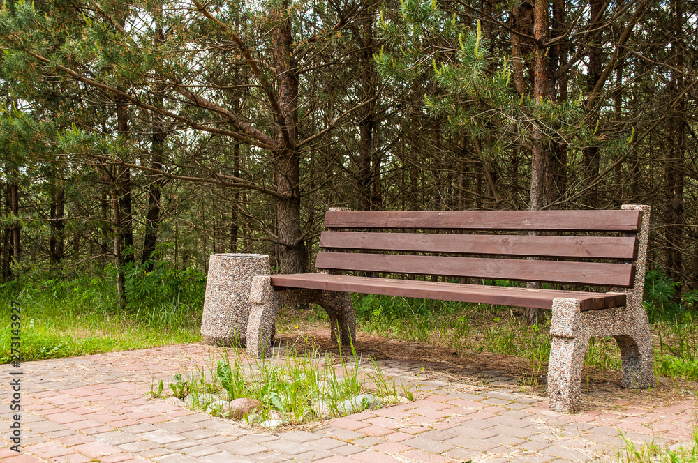 Wooden park bench at a park. A place to rest.