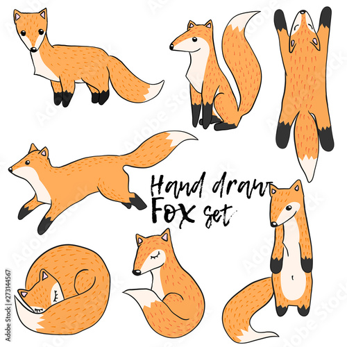 Vector set of hand draw illustration of fox in different poses on white background in scandinavian style. Collections of funny little fox in cartoons style.  Doodles pup in different situation.