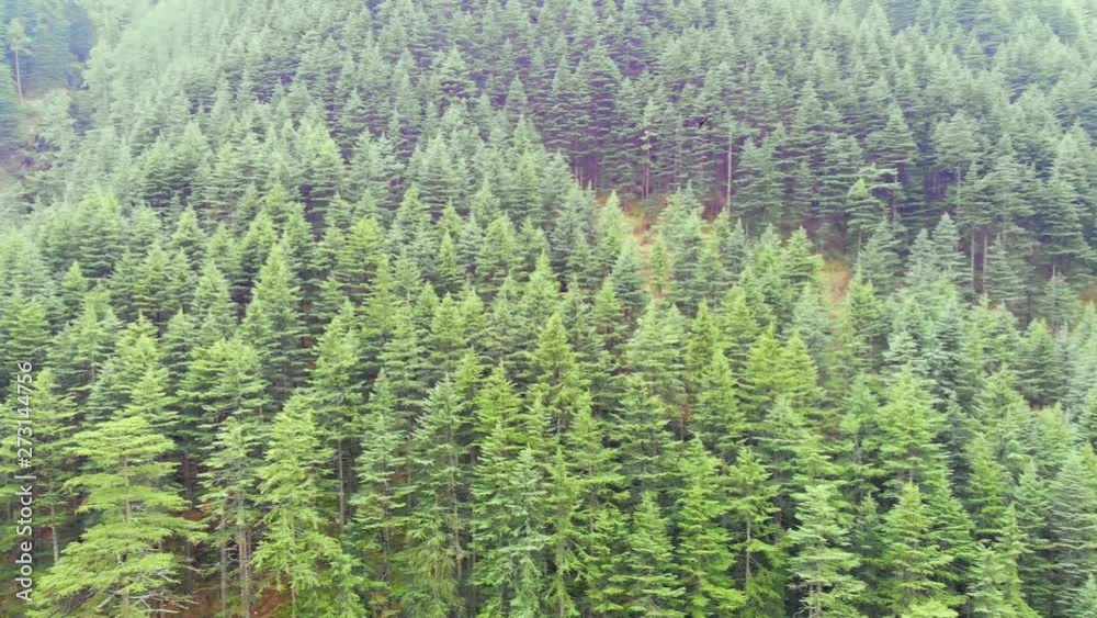 Aerial drone clip of Green Forest and Beautiful valleys HD. Fast cinematic smooth Rotation shot. Aerial drone clip of Green Forest and Beautiful valleys HD. Fast cinematic smooth Rotation shot.