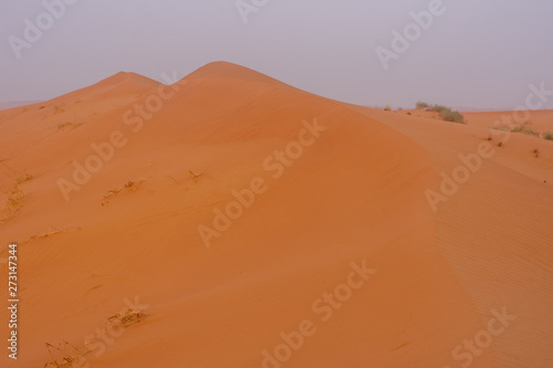 Desert at sunrise brings out bold burnt orange colored sand making a great desert landscape.