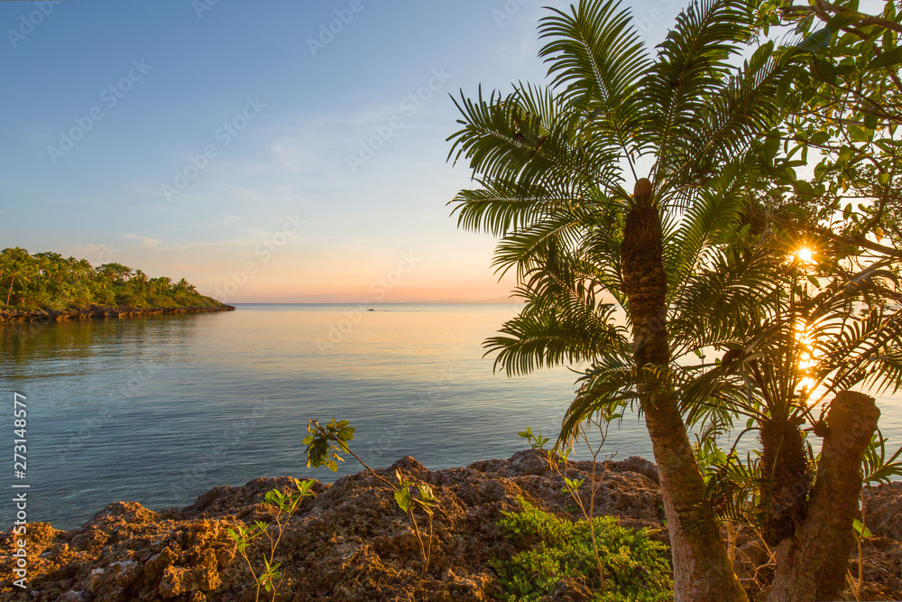 white sand beach with palm trees in sunset golden hour a summer sunny vacation image