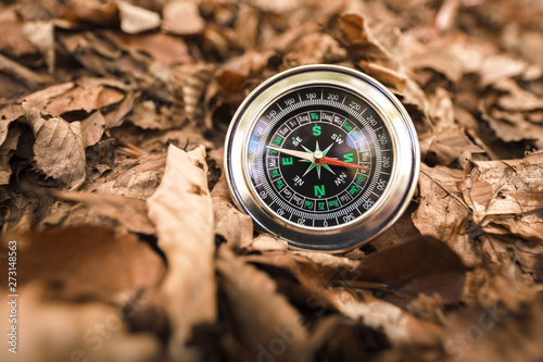 compass in autumn leaves