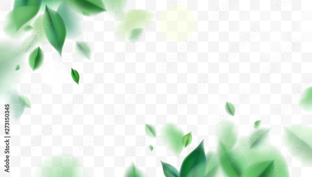 Green spring nature background with leaves - obrazy, fototapety, plakaty 