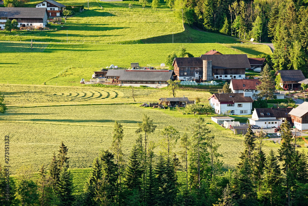 Farms in Bregenzerwald