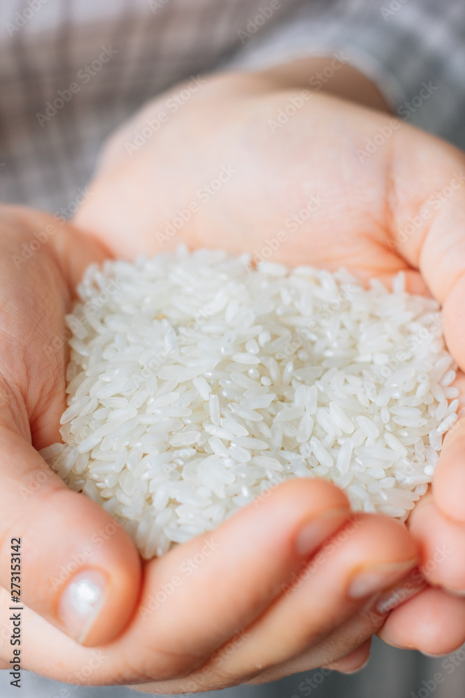 Woman hands holding a white rice. Woman hands holding a white rice.