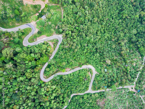 Aerial view of curvy mountain road through a jungle