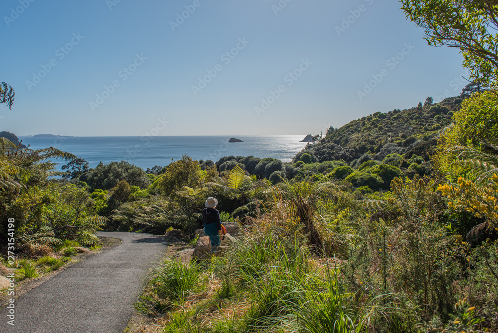 View of the coastline, Coromandel Peninsula, North Island, New Zealand. Copy space for text.