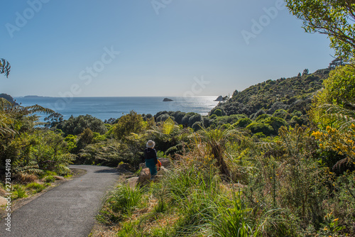 Fototapeta Naklejka Na Ścianę i Meble -  View of the coastline, Coromandel Peninsula, North Island, New Zealand. Copy space for text.