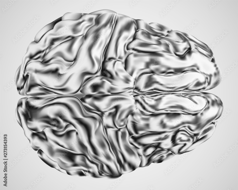 anatomical human brain, mesh vector, scientific article design and medical booklet anatomical human brain, mesh vector, scientific article design and medical booklet