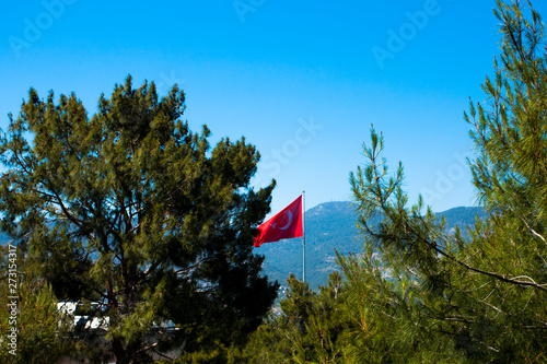 Fototapeta Naklejka Na Ścianę i Meble -  Waving in the wind flag of Turkey.On the mountain with fir trees, Antalya.