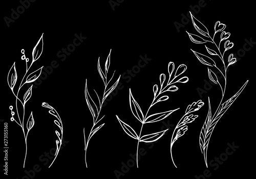 Flowers and branches hand drawn collection isolated on black background. Floral graphic elements. Big set. Simple style collection