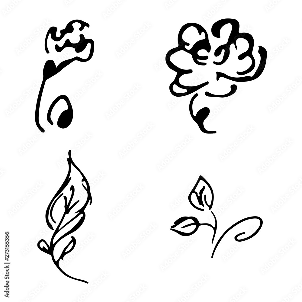 Flowers and branches hand drawn doodle collection isolated on white background. 4 floral graphic elements. Big  set. Outline collection