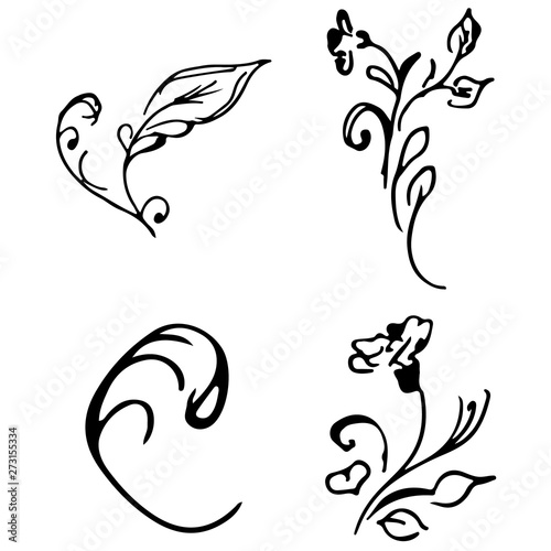 Flowers and branches hand drawn doodle collection isolated on white background. 4 floral graphic elements. Big  set. Outline collection