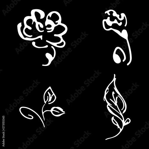 Flowers and branches hand drawn doodle collection isolated on black background. 4 floral graphic elements. Big  set. Outline collection
