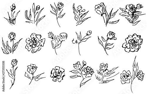 Flowers and branches hand drawn collection isolated on white background. 18 Floral graphic elements. Big  set. Outline collection