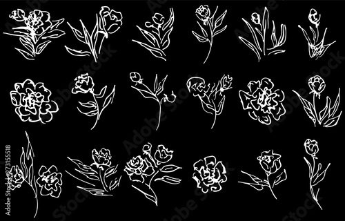 Flowers and branches hand drawn collection isolated on black background. 18 Floral graphic elements. Big  set. Outline collection