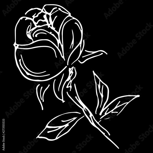 Abstract hand drawn rose flower isolated on black background. Rose flower  outline icon. Line art. Close up