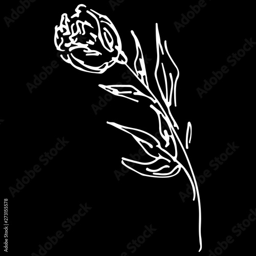 Abstract hand drawn rose flower isolated on black background. Rose flower  outline icon. Line art. Close up