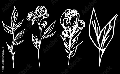 Abstract peonies and roses isolated on black background. Hand drawn floral collection. 4 floral graphic elements. Big  set. Outline icons. Line art