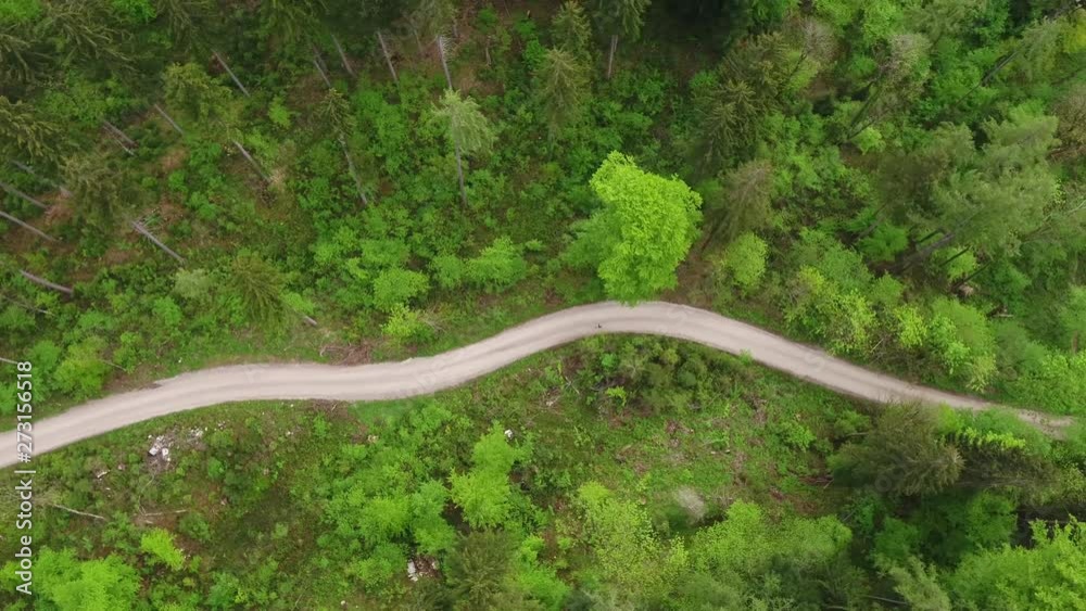 Läufer auf Forstweg im Wald Läufer auf Forstweg im Wald