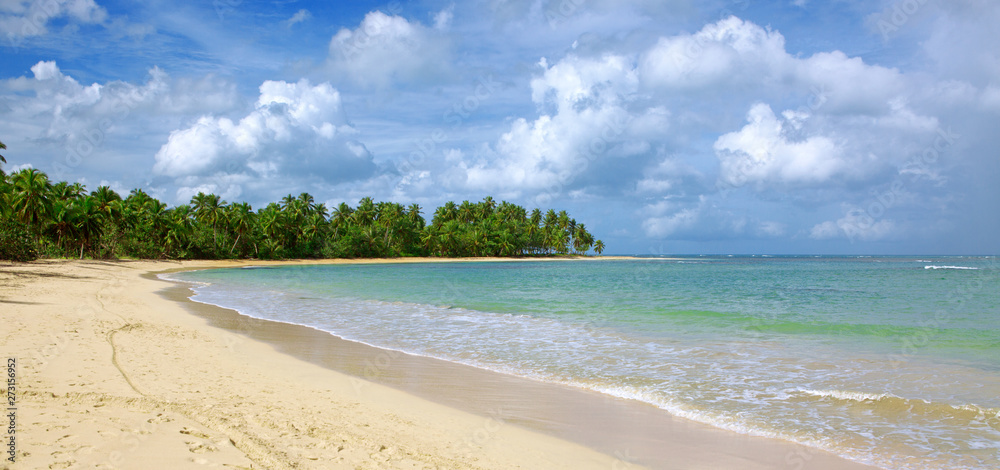 Caribbean sea and green palm trees on white tropical beach. Caribbean sea and green palm trees on white tropical beach.