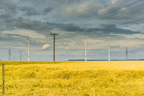 Dramatischer Wolkenhimmel über Getreidefeld mit dunklen Regenwolken und Stromleitungen und Windräder