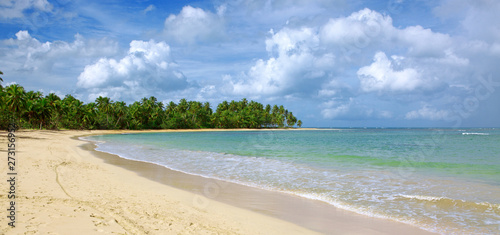 Fototapeta Naklejka Na Ścianę i Meble -  Caribbean sea and green palm trees on white tropical beach.