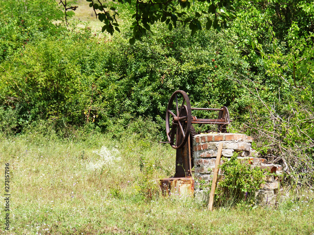 Obraz premium Rusted pond in the middle of nowhere, between a meadow and a forest