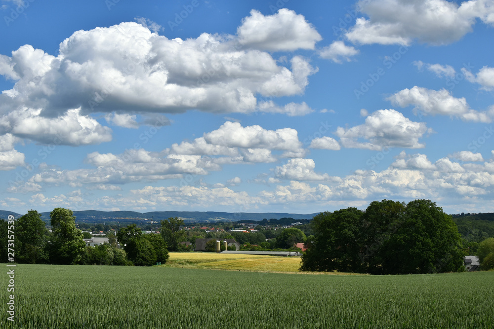 White clouds, blue sky, green fields. Summer. White clouds, blue sky, green fields. Summer.