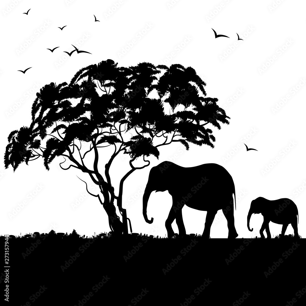 Landscape Silhouette Black And White