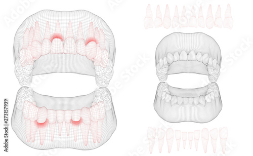 human jaw. 3d vector layout. medicine and health. pain teeth.
