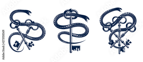 Snake wraps around vintage key, protected secret concept, turnkey and serpent old style tattoo, vector symbol logo or emblem.