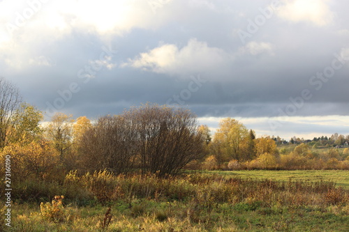 autumn landscape with trees and blue sky 5