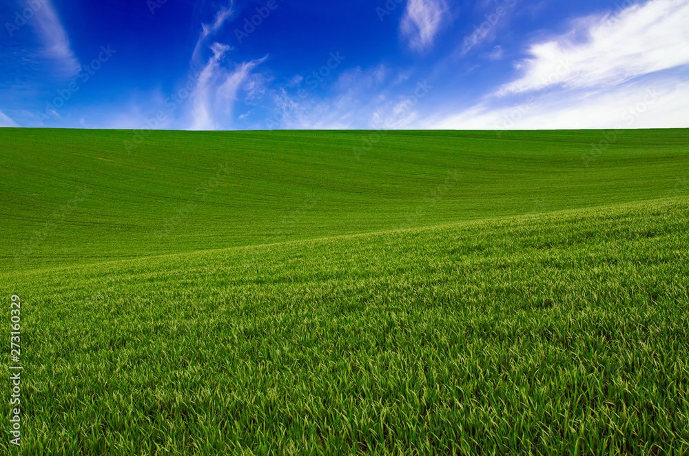 Obraz premium Abstract natural background