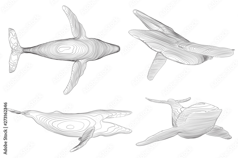 3d vector set. ocean protection. big blue whale