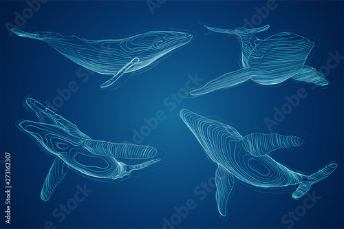 3d vector set. ocean protection. big blue whale