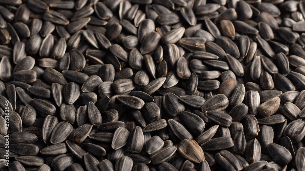 Sunflower seeds, back ground or texture, high detail Sunflower seeds, back ground or texture, high detail