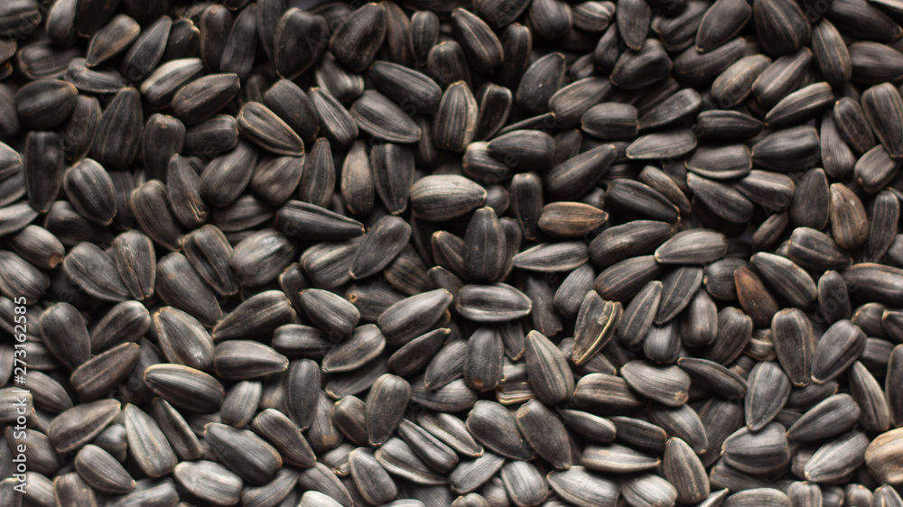 Sunflower seeds, back ground or texture, high detail Sunflower seeds, back ground or texture, high detail