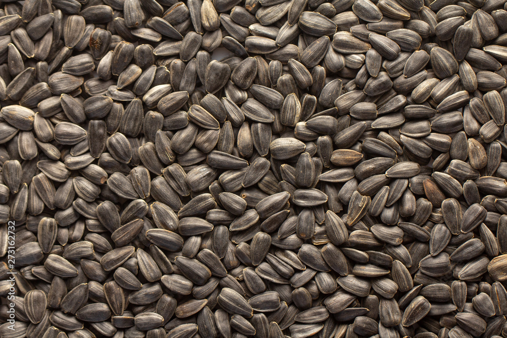 Sunflower seeds, back ground or texture, high detail Sunflower seeds, back ground or texture, high detail
