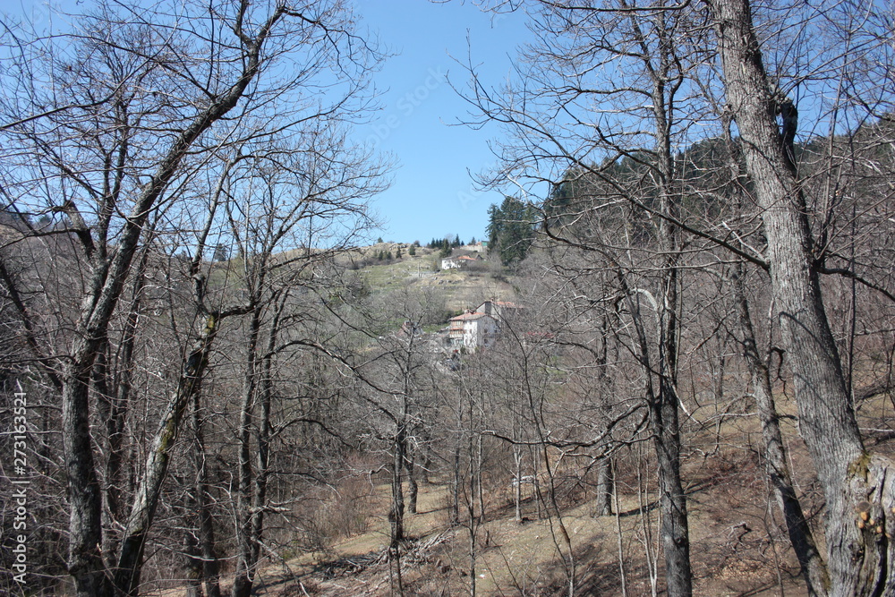 spring panorama of Careggine, dry soil and bare trees. the land is dry and the bush displaced also in Tuscany due to the drought spring panorama of Careggine, dry soil and bare trees. the land is dry and the bush displaced also in Tuscany due to the drought