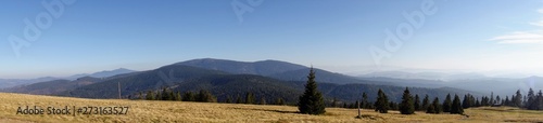 rysia8