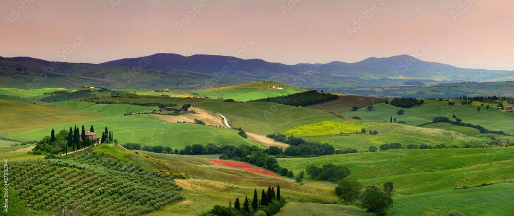Pienza, Tuscany - June 2019: beautiful landscape of Tuscany in Italy, Podere Belvedere in Val d Orcia near Pienza with cypress, olive trees and green rolling hills at sunset. Siena, Italy.