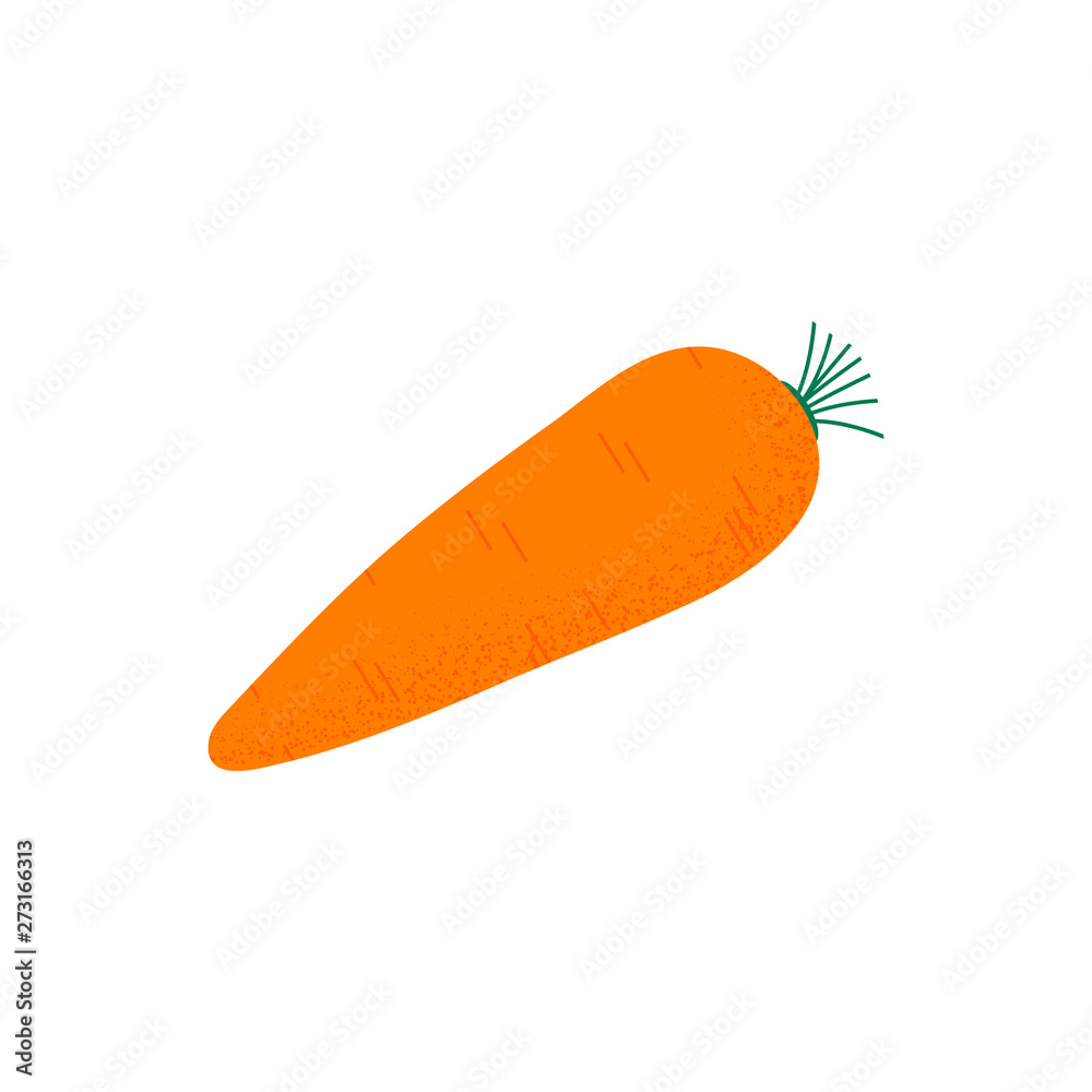 Carrot in flat style isolated Carrot in flat style isolated