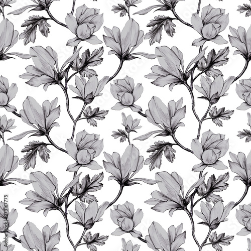 White Magnolia flower and leaves painted with black pencil in vintage graphic style on white seamless background, Wallpaper, textiles, wrapping paper