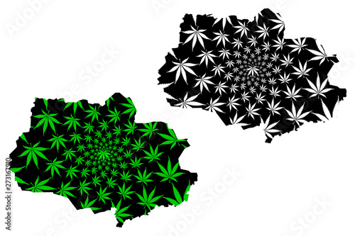 Tomsk Oblast (Russia, Subjects of the Russian Federation, Oblasts of Russia) map is designed cannabis leaf green and black, Tomsk Oblast map made of marijuana (marihuana,THC) foliage,....